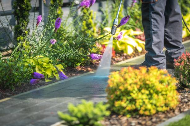 Reliable Budd Lake, NJ Pressure Washing Services Solutions