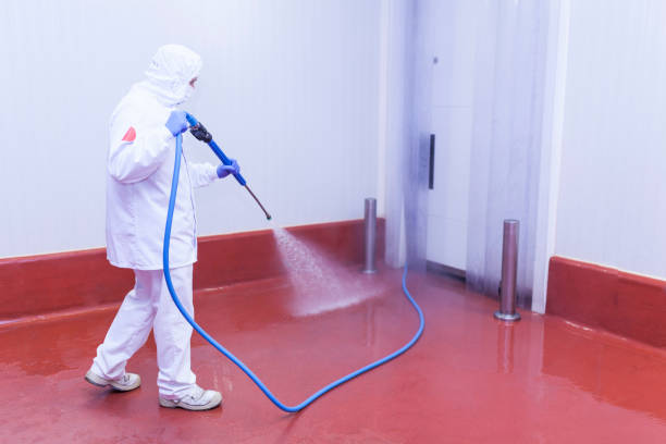 Boat and Dock Cleaning in Budd Lake, NJ